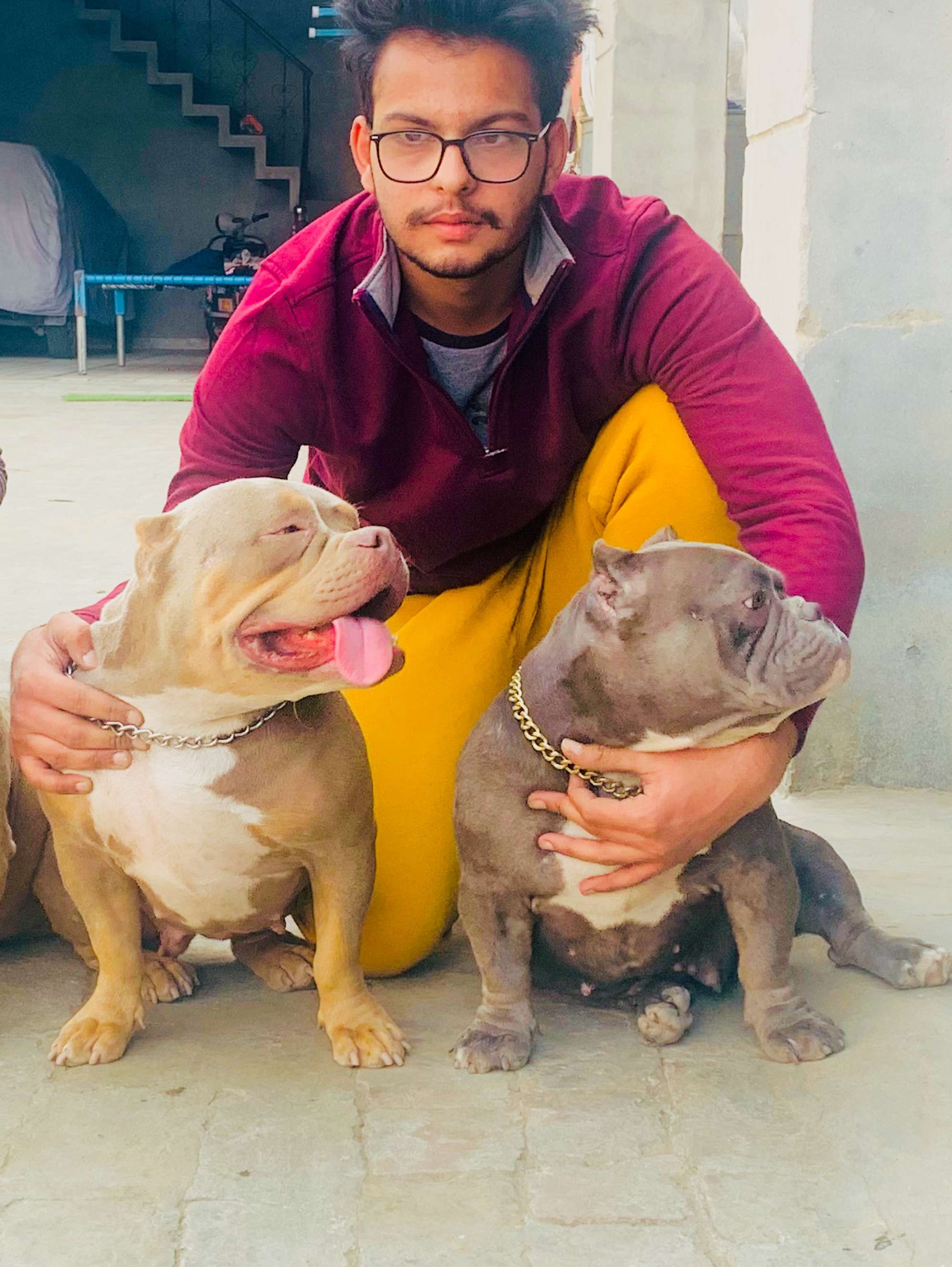 Yuvraj singh