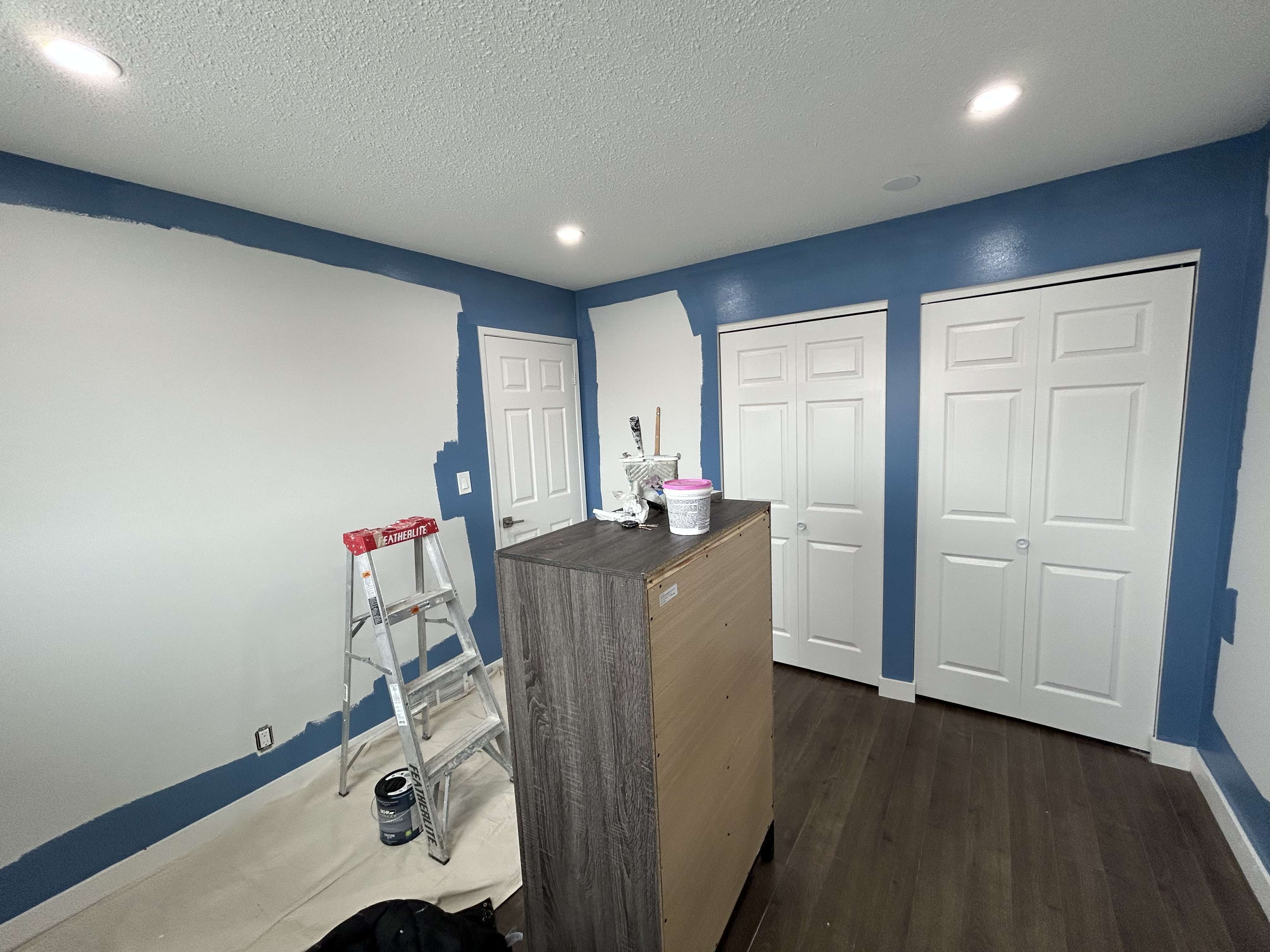 Professional painter