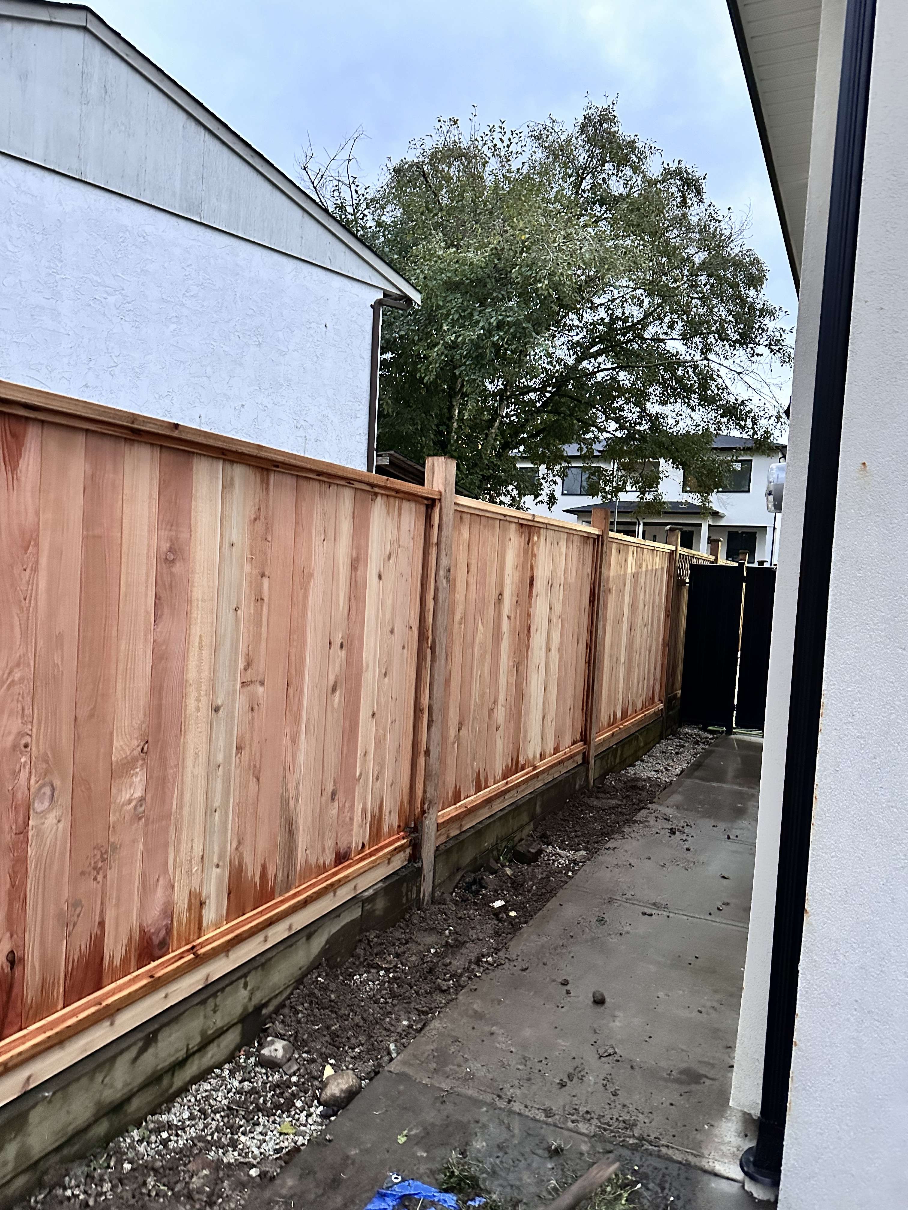 Sangha landscaping