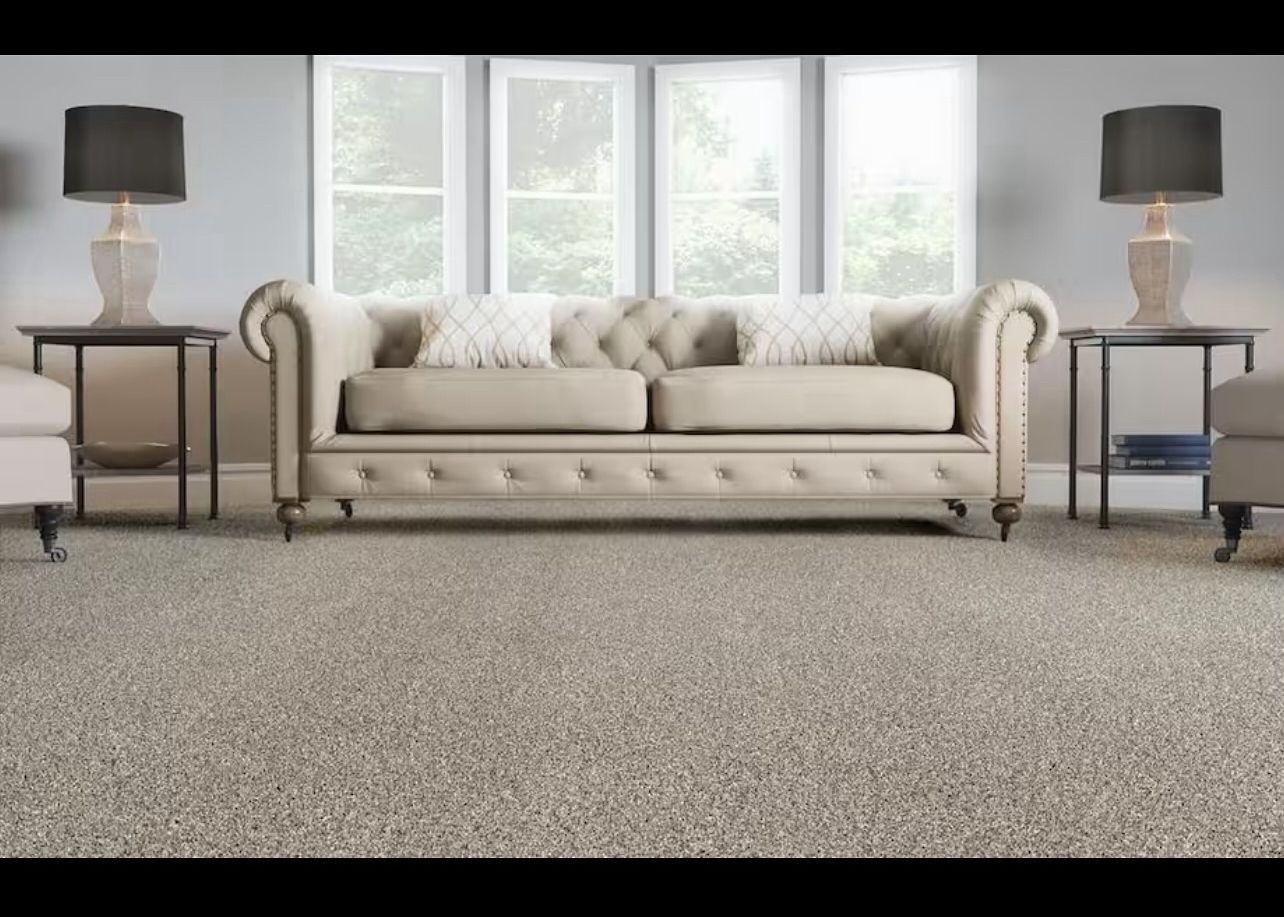 Lucrative Carpet
