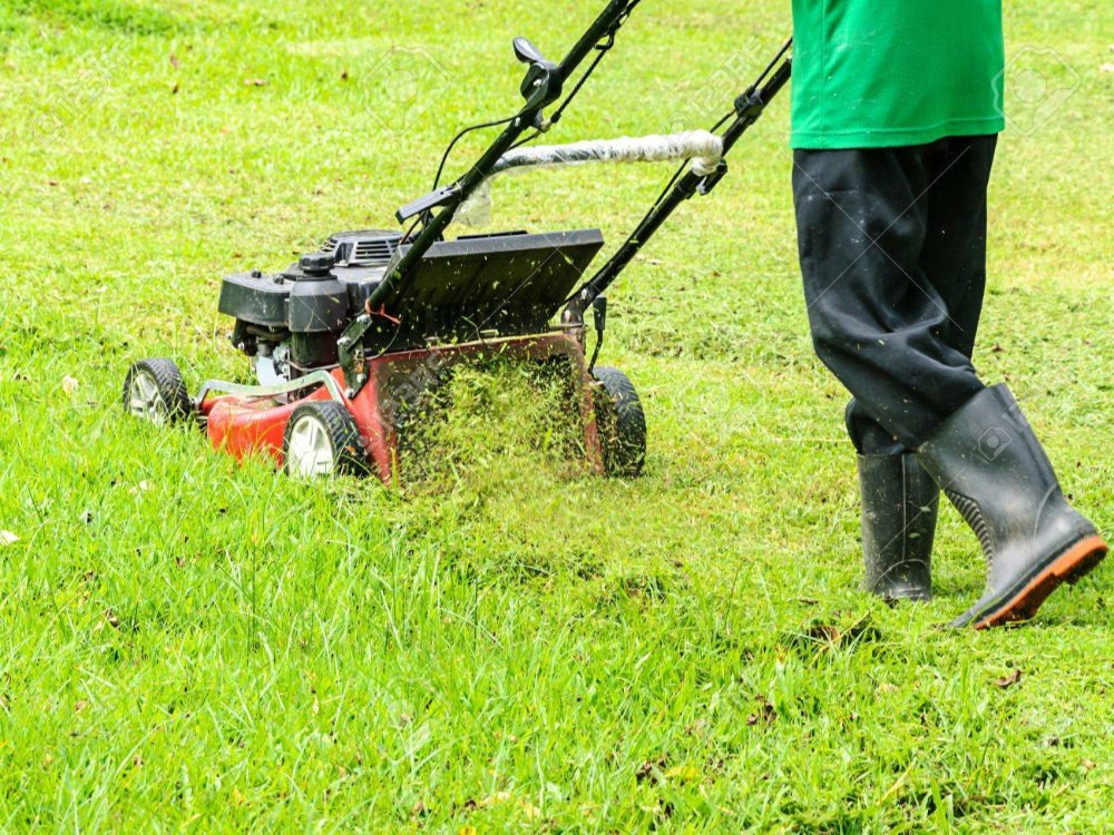 Maple Mowers
